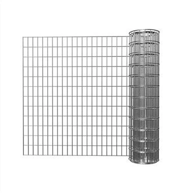 Γαλβανισμένο συρμάτινο πλέγμα κήπου